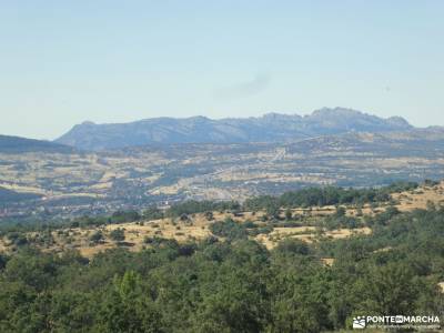 Pinares a la sombra de Peña Quemada; palabras relacionadas con la montaña Términos montañeros Jerga 